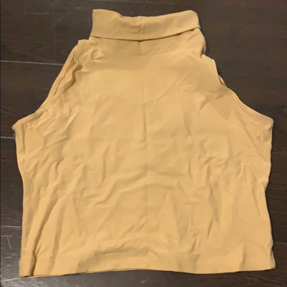 American Apparel Turtleneck Crop Top